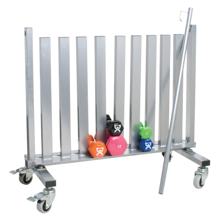 CanDo 10-0581 Dumbbell Mobile Studio Rack (1100 Lb Capacity)