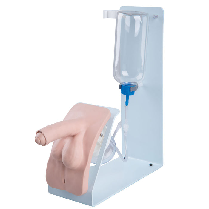 3B Scientific P93B-M Catheterization Simulator Basic Male