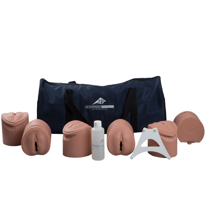 3B Scientific P94 Birthing Stages Trainer