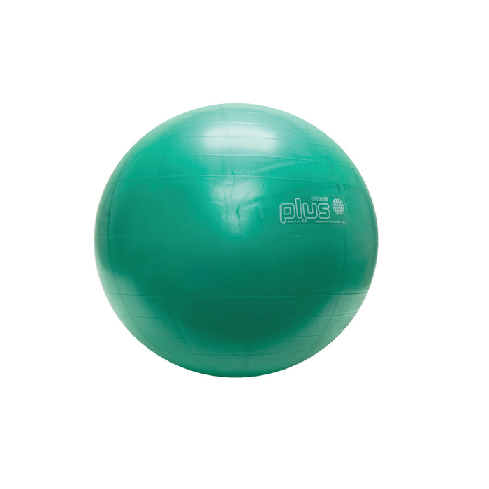 PhysioGymnic 95-65 Inflatable Exercise Ball - Green - 26" (65 Cm)