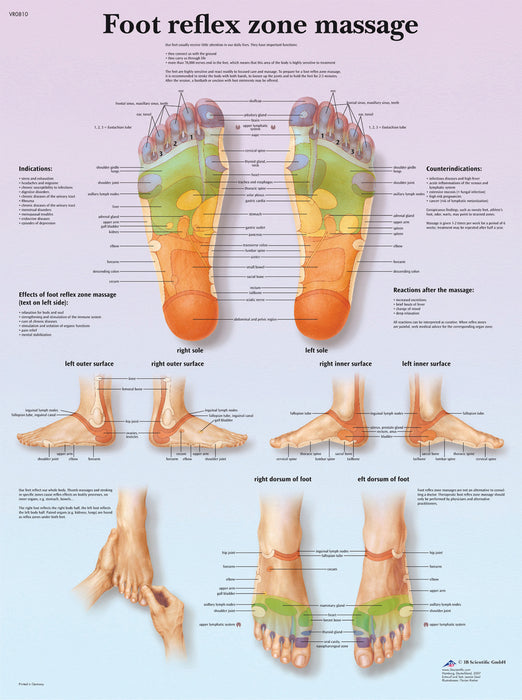 3B Scientific VR1810UU (1-4) Anatomical Chart - Foot Massage, Reflex Zone, Paper