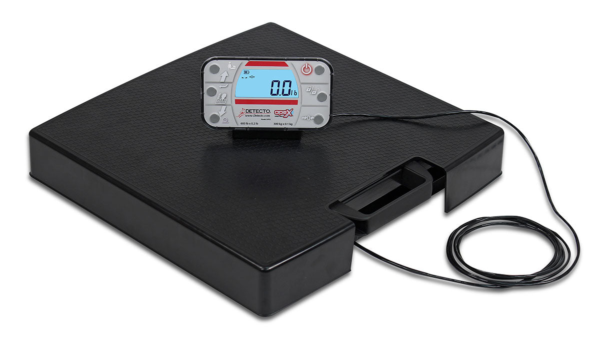 Portable Scale