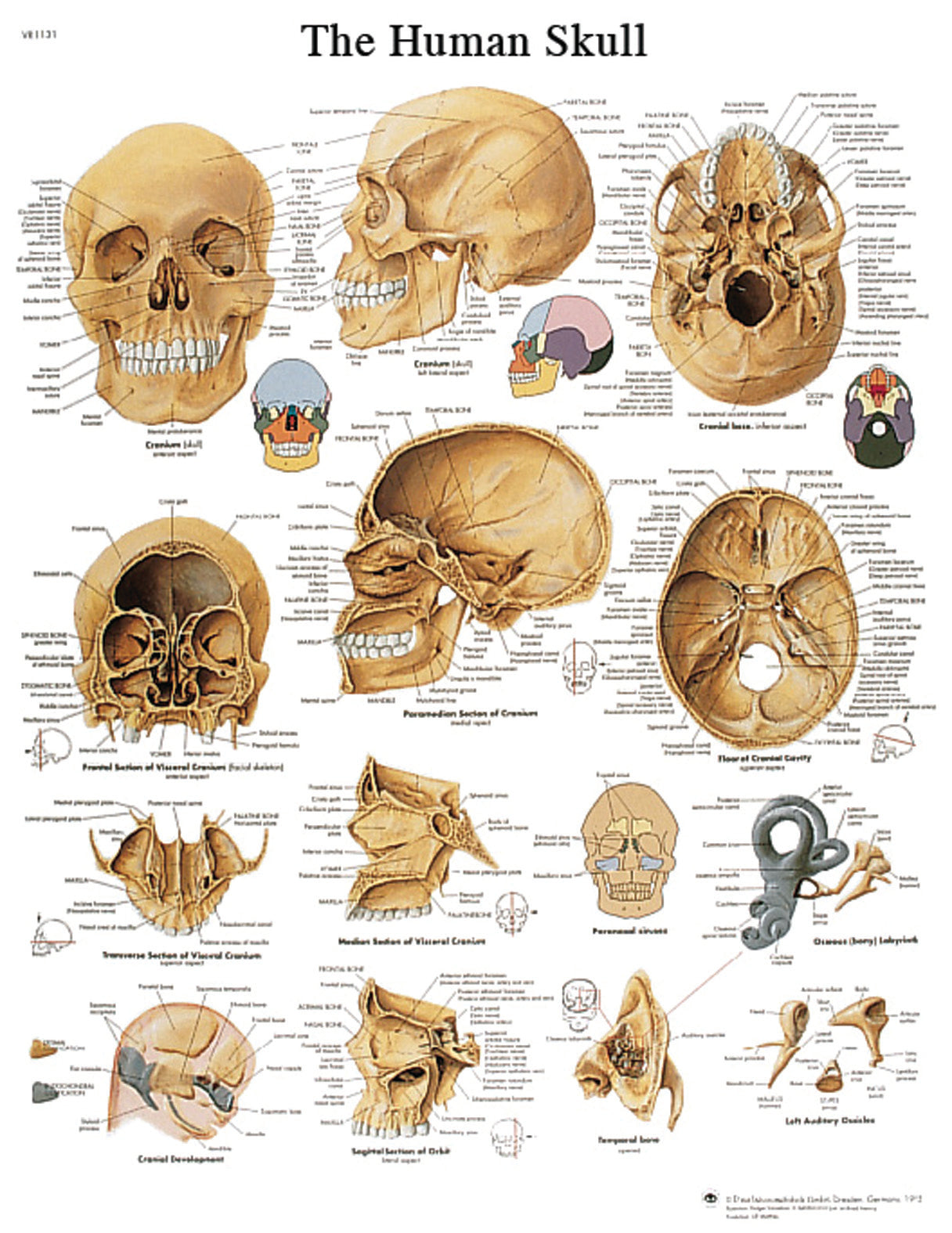 Sticky-Back Chart