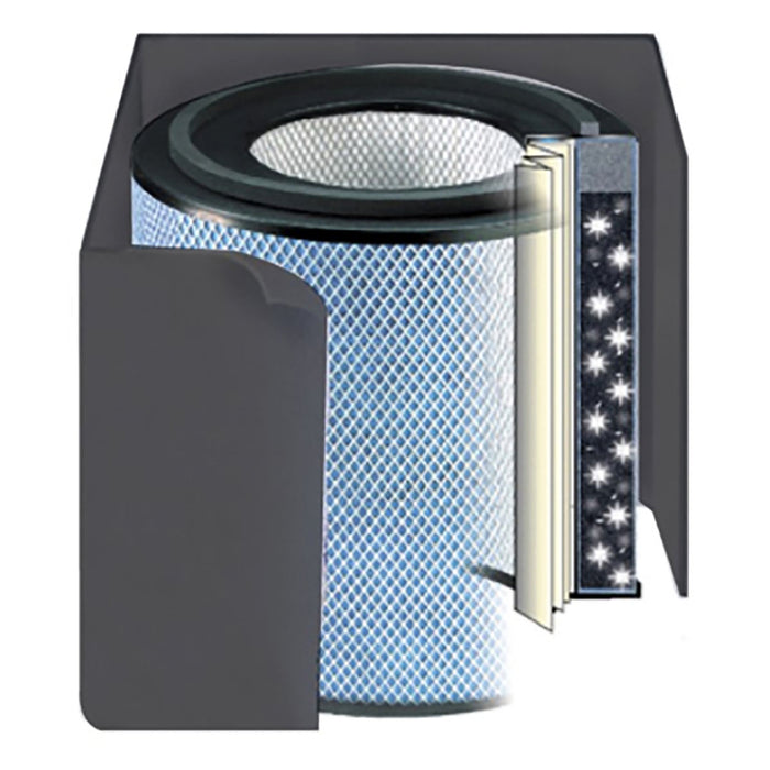 Austin Air FR450A , Healthmate Plus Accessory - Black Replacement Filter Only