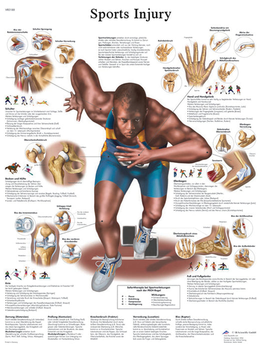 3B Scientific VR1188L Anatomical Chart - Sports Injuries, Laminated