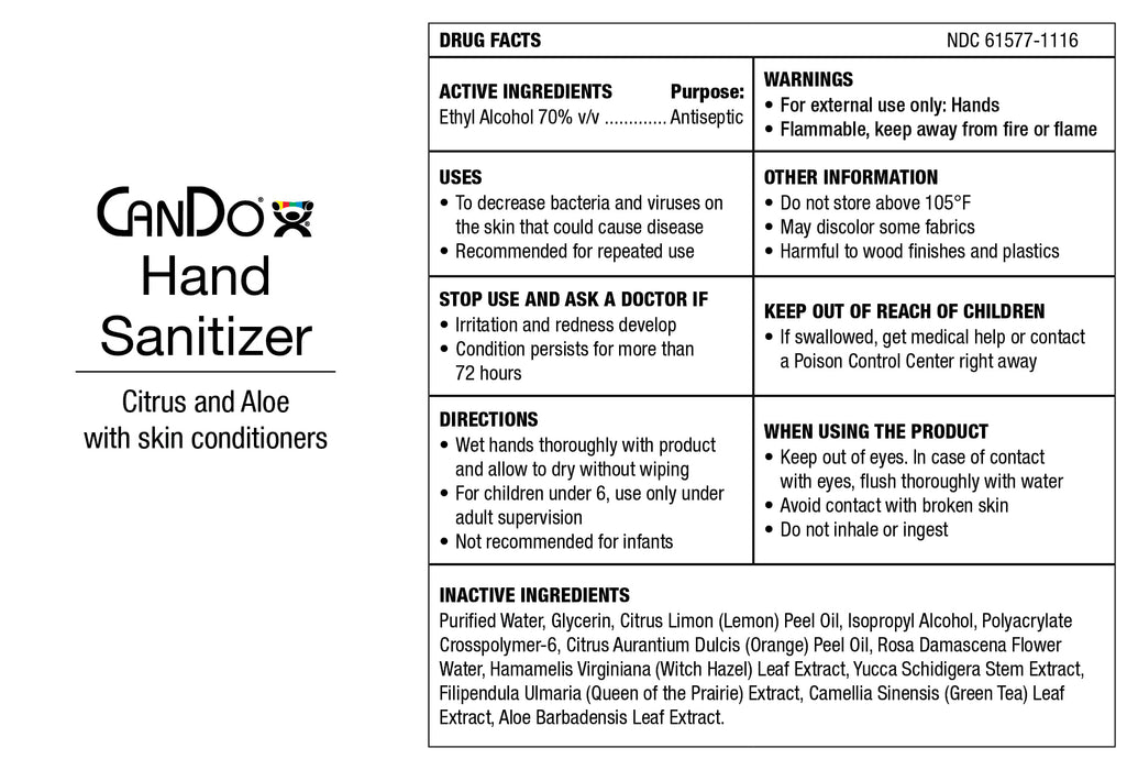 CanDo DISC FEHS128 Hand Sanitizer, Pump Dispenser, 1 Gallon