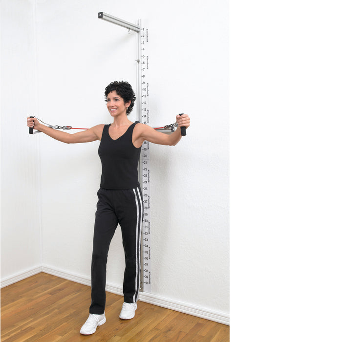TheraBand 10-1571 Professional Wall Exercise Station, Wall Section
